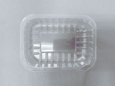 HT98 Rectangular Food Tray